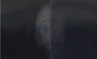 指紋比較画像